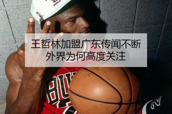 王哲林加盟广东传闻不断 外界为何高度关注